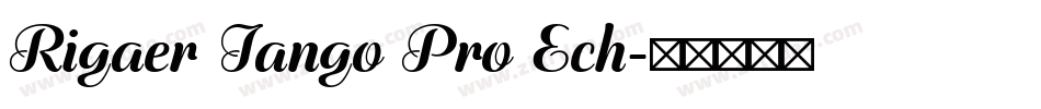 Rigaer Tango Pro Ech字体转换